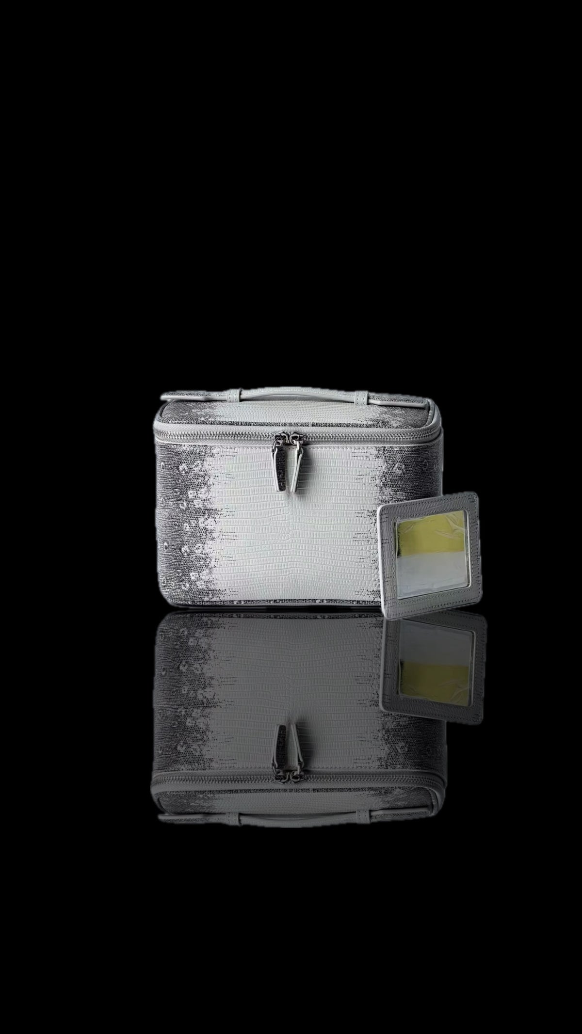 Ombré Lizard Vanity Bag