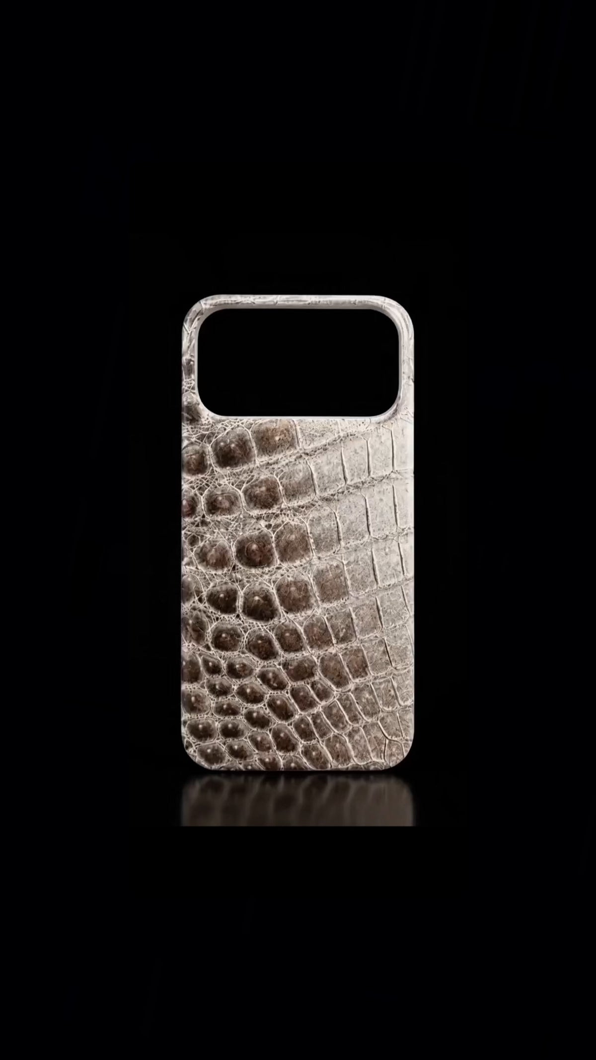 Himalayan Crocodile Phone case
